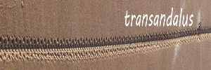 TransAndalus